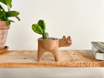 Cat Planter for Cactus - Standing