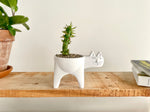 Cat Planter for Cactus - Standing