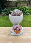 Little People Planter - Green Thumb Large
