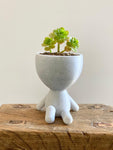 Little People Planter - Chilling