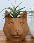 Shiba Inu Dog Head Planter