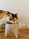Raised Cat Feeding Bowl